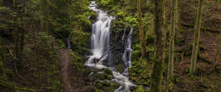 Spritzige Herbststimmung: Wasserfälle im Hochschwarzwald